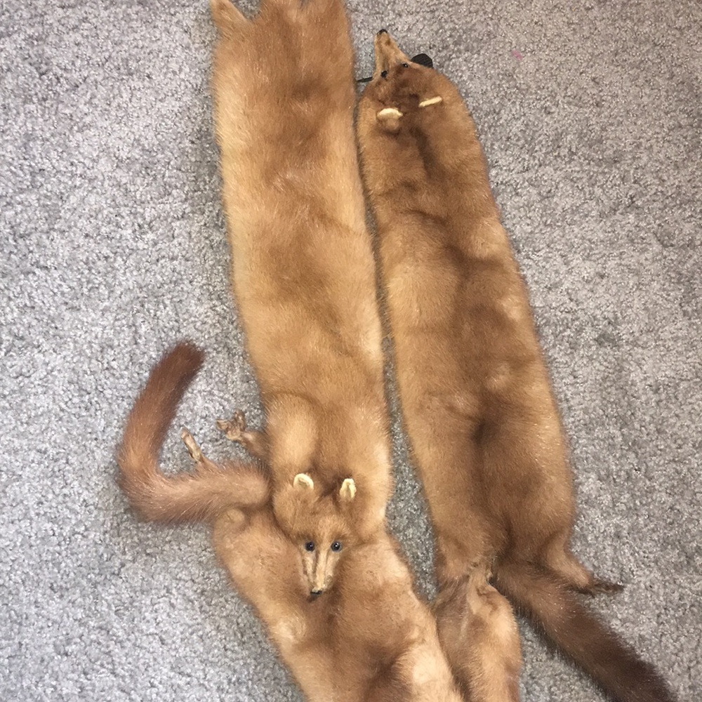 Vintage 3 mink stole